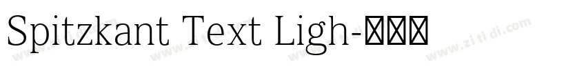 Spitzkant Text Ligh字体转换